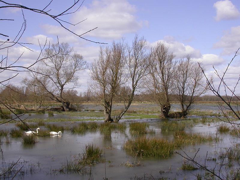 Minsmere - DSCN3543.JPG